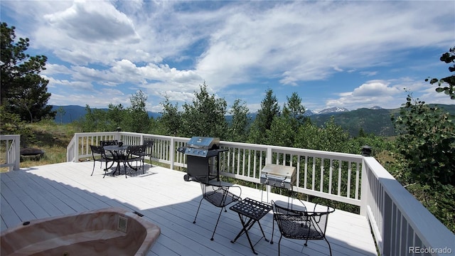 979 Alpine Way, Idaho Springs, CO 80452 - photo 7