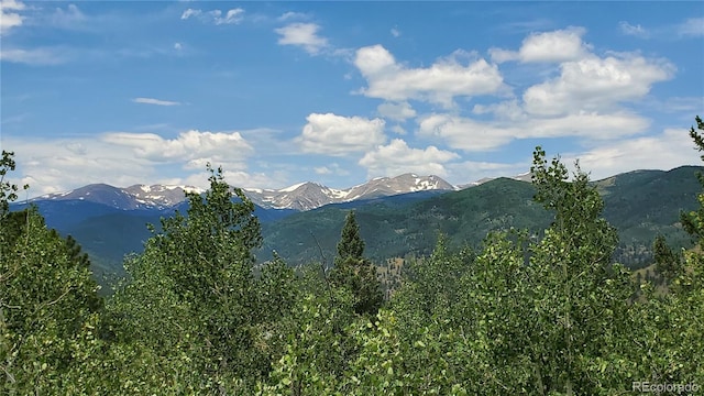 979 Alpine Way, Idaho Springs, CO 80452 - photo 8