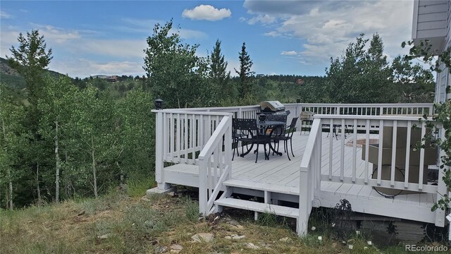 979 Alpine Way, Idaho Springs, CO 80452 - photo 19