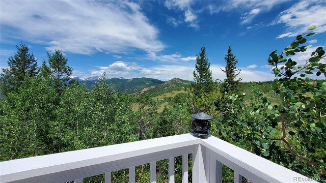 979 Alpine Way, Idaho Springs, CO 80452 - photo 20