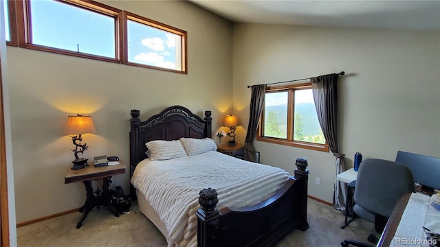 979 Alpine Way, Idaho Springs, CO 80452 - photo 21