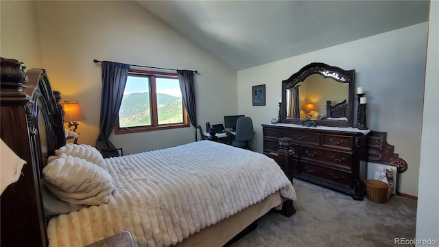 979 Alpine Way, Idaho Springs, CO 80452 - photo 22
