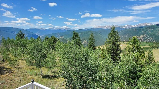 979 Alpine Way, Idaho Springs, CO 80452 - photo 24