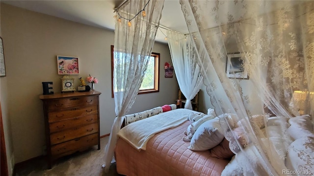 979 Alpine Way, Idaho Springs, CO 80452 - photo 26