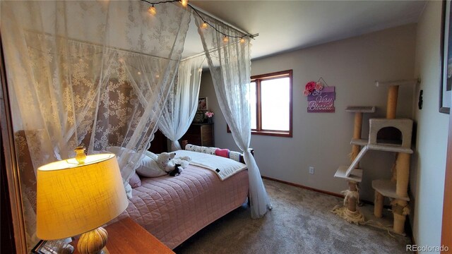 979 Alpine Way, Idaho Springs, CO 80452 - photo 27