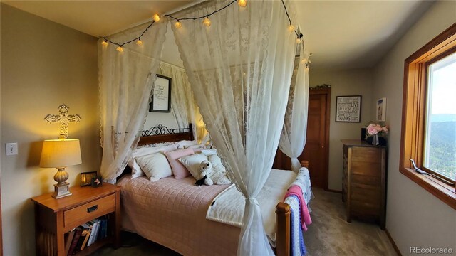979 Alpine Way, Idaho Springs, CO 80452 - photo 28