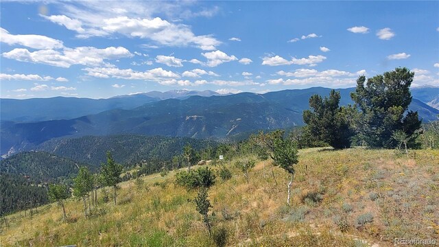 979 Alpine Way, Idaho Springs, CO 80452 - photo 29