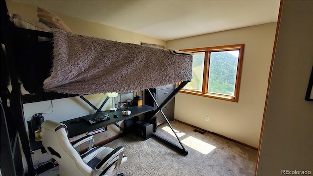 979 Alpine Way, Idaho Springs, CO 80452 - photo 30