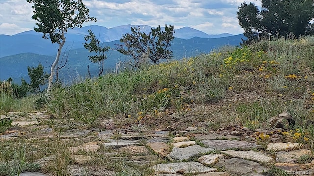 979 Alpine Way, Idaho Springs, CO 80452 - photo 35