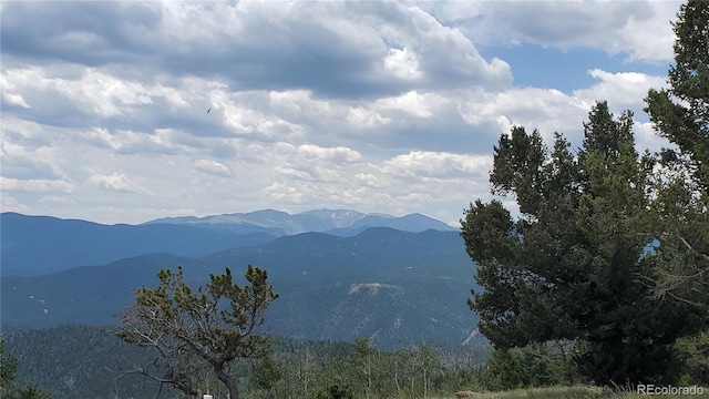 979 Alpine Way, Idaho Springs, CO 80452 - photo 36