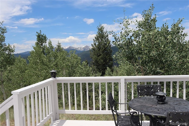 979 Alpine Way, Idaho Springs, CO 80452 - photo 42