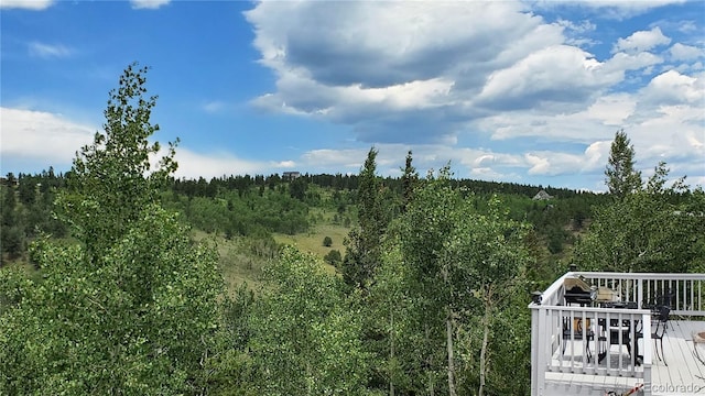 979 Alpine Way, Idaho Springs, CO 80452 - photo 43