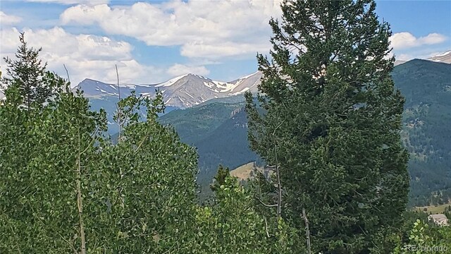 979 Alpine Way, Idaho Springs, CO 80452 - photo 44