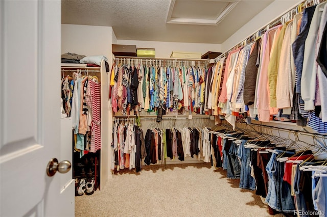 spacious closet with attic access and carpet floors