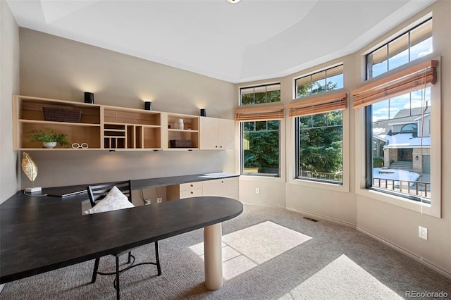 34 Amaranth Dr, Littleton, CO 80127 - home office featuring a raised ceiling, carpet floors, visible vents, and baseboards