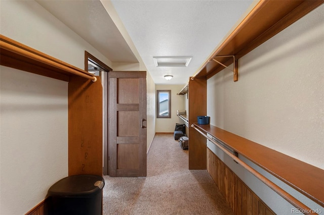 34 Amaranth Dr, Littleton, CO 80127 - walk in closet featuring light carpet and attic access