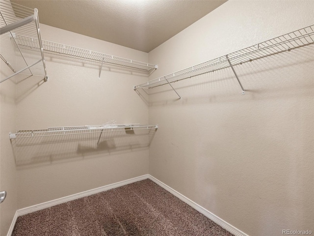 walk in closet featuring carpet