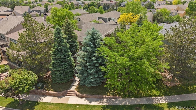 11150 Night Heron Dr, Parker, CO 80134 - photo 36