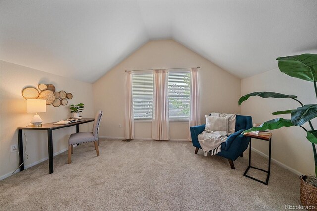 11150 Night Heron Dr, Parker, CO 80134 - photo 18