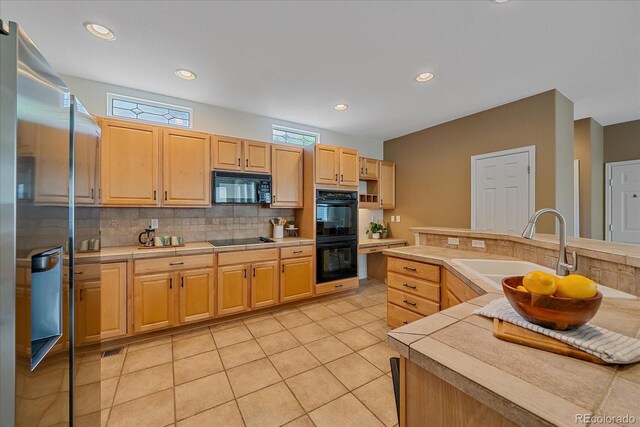 11150 Night Heron Dr, Parker, CO 80134 - photo 12