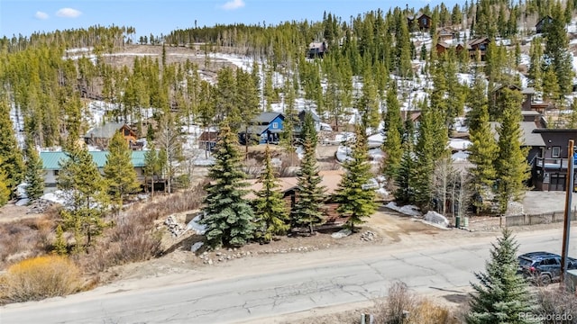 764 Blue Ridge Rd, Breckenridge, CO 80424 - photo 40