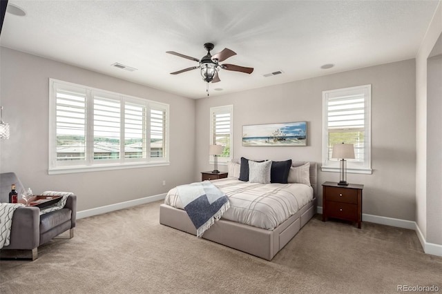 9724 Cantabria Pt, Lone Tree, CO 80124 - photo 18