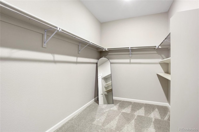 walk in closet with carpet flooring