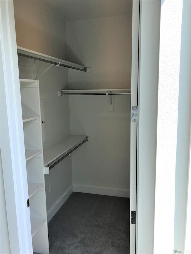 2865 W 24th Ave, Denver, CO 80211 - spacious closet featuring dark carpet