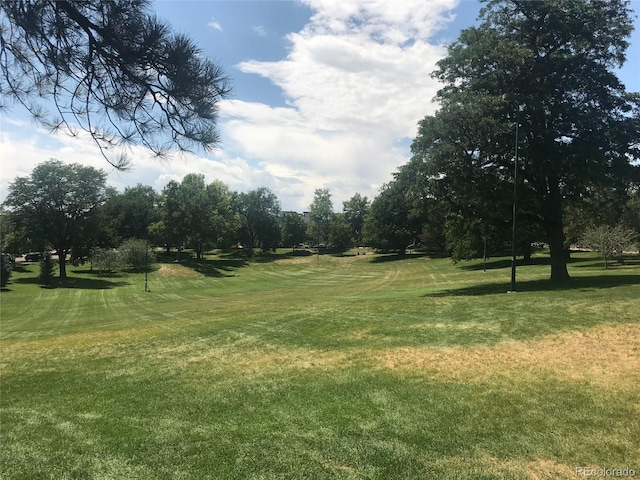 2865 W 24th Ave, Denver, CO 80211 - view of property's community featuring a lawn and view of wooded area