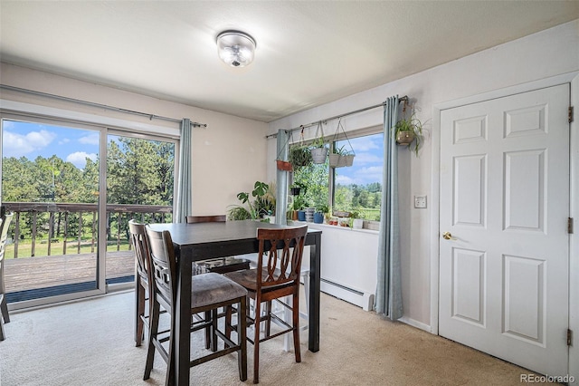 32358 Pine View Dr, Kiowa, CO 80117 - photo 15