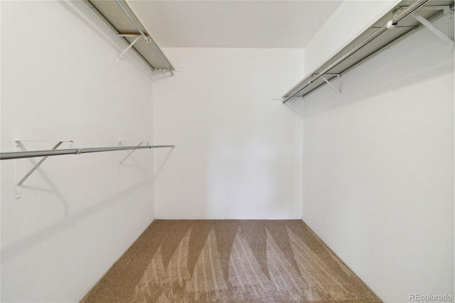 walk in closet with carpet