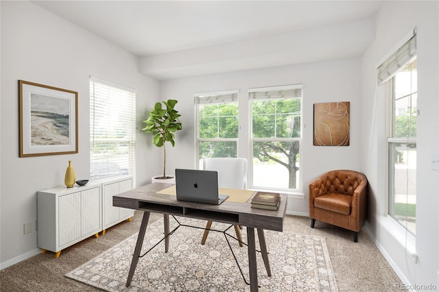 4488 Larksong Pl, Castle Rock, CO 80109 - office featuring healthy amount of natural light and light carpet