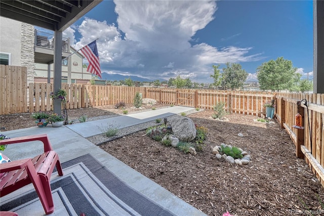 view of yard with a fenced backyard and a patio