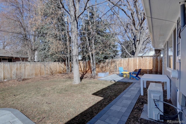 view of yard with a patio and a fenced backyard