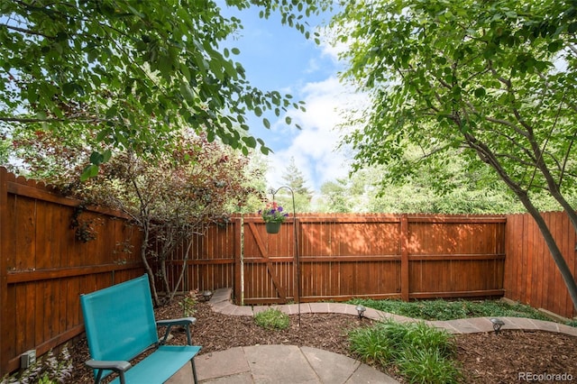 264 Quari St, Aurora, CO 80011 - photo 29