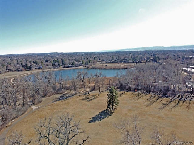 bird's eye view featuring a water view and a view of trees