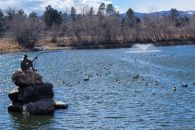 property view of water