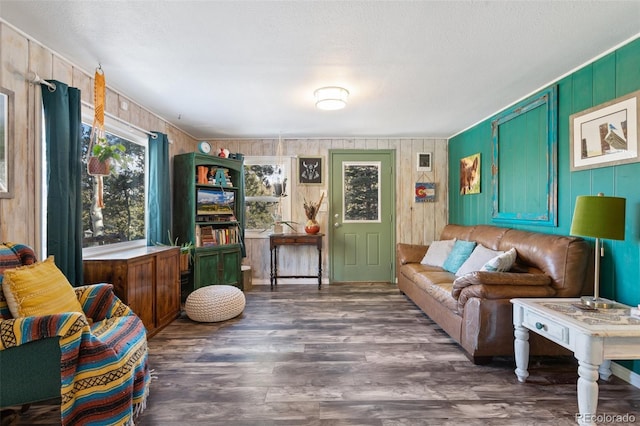 6230 Waterfall Loop, Manitou Springs, CO 80829 - photo 6