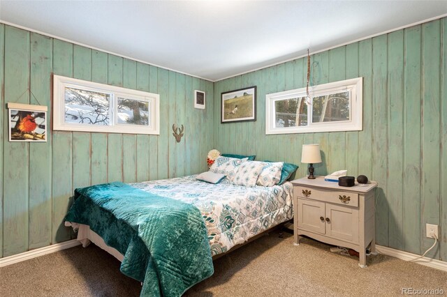 6230 Waterfall Loop, Manitou Springs, CO 80829 - photo 14
