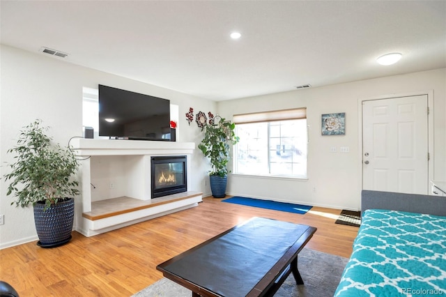 living room with hardwood / wood-style floors