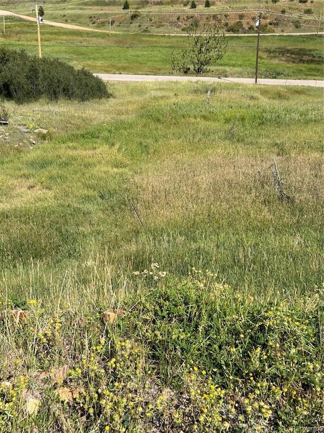 S 1st St, Cripple Creek, CO 80813
