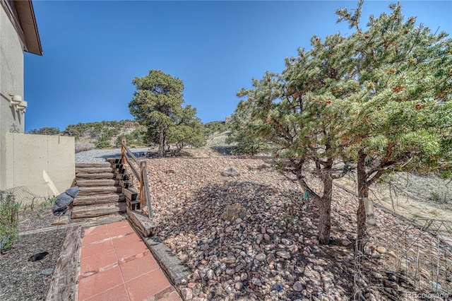 view of yard with stairway