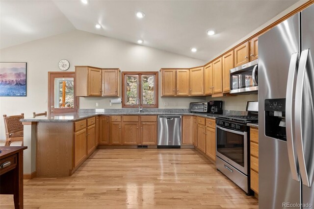 29 Cedar Ln, Bailey, CO 80421 - kitchen featuring appliances with stainless steel finishes, a peninsula, vaulted ceiling, a sink, and light wood-style flooring