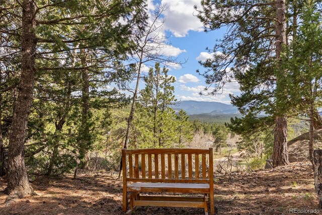29 Cedar Ln, Bailey, CO 80421 - surrounding community featuring a mountain view and a wooded view