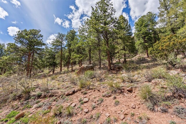 29 Cedar Ln, Bailey, CO 80421 - view of nature