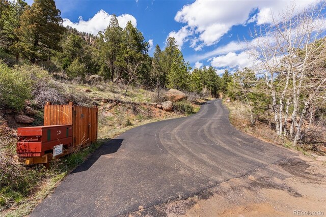 29 Cedar Ln, Bailey, CO 80421 - view of asphalt road
