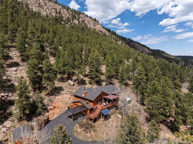 29 Cedar Ln, Bailey, CO 80421 - view of mountain backdrop with a forest