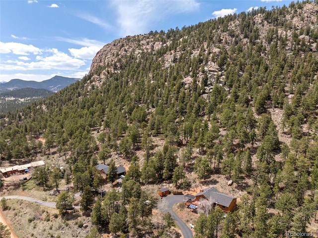 29 Cedar Ln, Bailey, CO 80421 - view of mountain background featuring a heavily wooded area