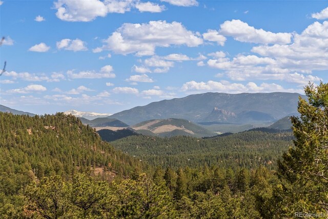 29 Cedar Ln, Bailey, CO 80421 - mountain view with a forest