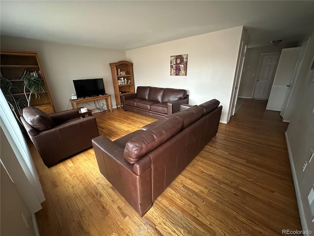 living room with wood-type flooring